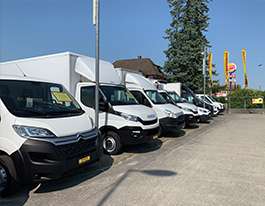 Delivery vans / Commercial vehicles 